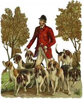Fox Hunting
