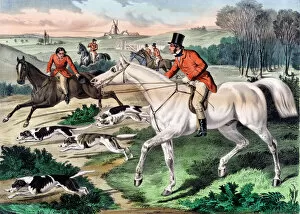 Images Dated 7th September 2011: Fox-Hunting, the Find