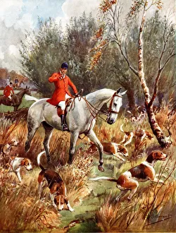 Fox hunting scene