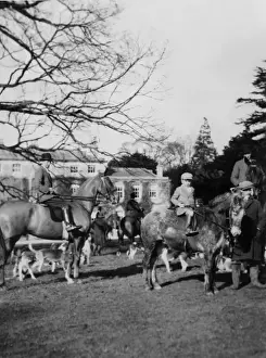 Fox Meet 1930S