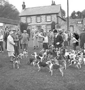 Fox Meet, East Dean, East Sussex