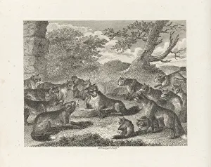 John Stockdale Prints: The Fox at the Point of Death