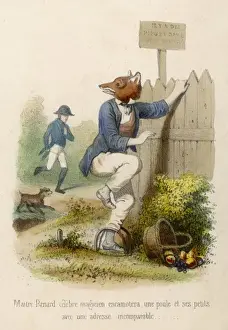 Fox in a Trap