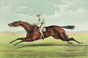 Foxhall: By King Alfonso, dam Jamaica, by Lexington
