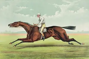 Lexington Prints: Foxhall: By King Alfonso, dam Jamaica, by Lexington