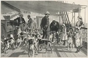 Foxhounds sent to India