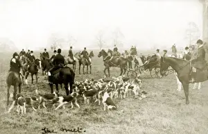 Foxhunting