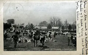 Lyndhurst Prints: Foxhunting - A Meeting of Hounds, Lyndhurst, Hampshire