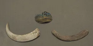 Tusk Prints: Fragment of a small perfume phial