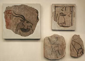 Amenhotep Gallery: Fragments of wall decoration. Tomb of Amenhotep III. Egypt