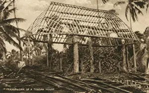 Framework of a Tongan House