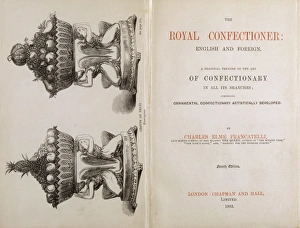 Treatise Gallery: Francatellis Title Page