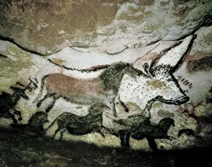 Cave Prints: FRANCE