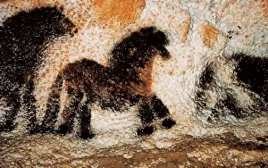 Cave Prints: FRANCE