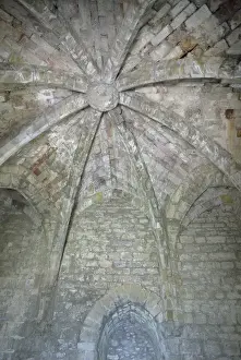Cathar Prints: France. Aude. Puivert castle. The music room. Vault