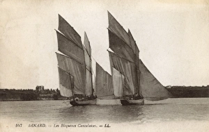 Images Dated 1st December 2011: France - Brittany - Two Bisquines Cancalaises
