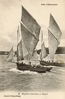 Sails Prints: France - Emerald Coast - Racing Bisquines Cancalaises