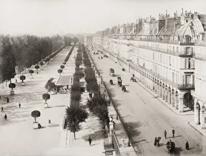 Archiecture Prints: France - Jardin des Tuileries, France