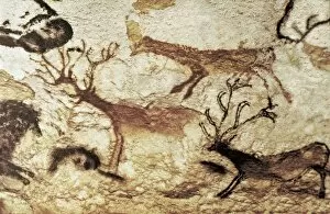 Frenchmen Collection: FRANCE. Montignac. The Cave of Lascaux. Hall of