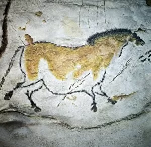 French Man Collection: FRANCE. Montignac. The Cave of Lascaux. Horses