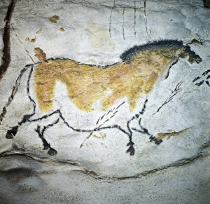 Aquitaine Gallery: FRANCE. Montignac. The Cave of Lascaux. Horses