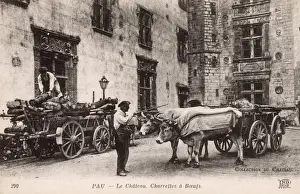 Oxen Prints: France - Pau - The Chateau and Ox carts