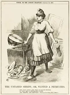 Shrew Prints: France as a Shrew