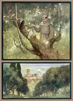 Francesco and Birds