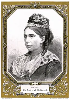 Vane Prints: Francess Ds. Marlborough
