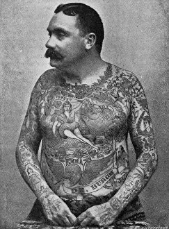 1897 Collection: Frank de Burgh, tattooed man, 1897