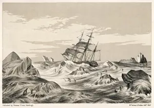 B Ring Prints: Franklin / Trent in Floes