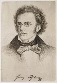 Schubert Gallery: Franz Schubert / Anon
