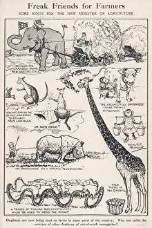 Suggested Prints: Freak Friends for Farmers