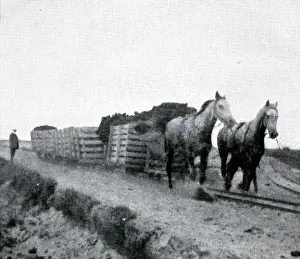 Peat Prints: Freistatt peat train