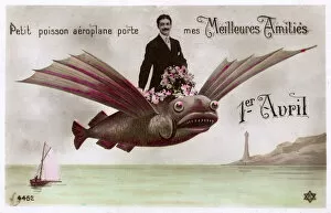 Bouquet Collection: French April Fools Card - Flying Fish Aeroplane
