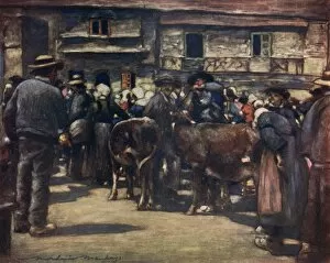 Images Dated 6th June 2011: French Cattle Market 20C