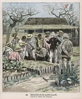 Horticultural Prints: French Colonialism