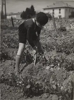 French cub scout digging in a field