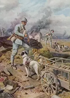 Haul Prints: French Dogs and Supplies
