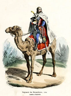 Images Dated 13th February 2019: FRENCH DROMEDARY CAVALRY