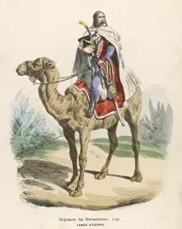 French Dromedary Cavalry