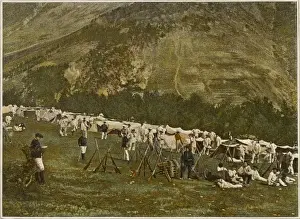 Bivouac Prints: French En Bivouac