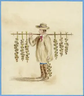 Garlic Prints: French Garlic Seller