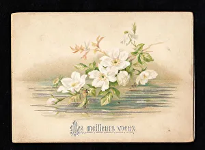 French greetings card with white flowers