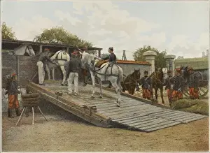 French Move Horses