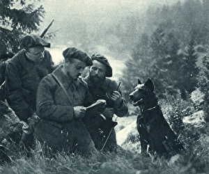 A French messenger dog delivers an important signal from Hea A French messenger dog delivers an important signal from Hea