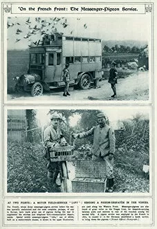 Images Dated 10th February 2016: French Front messenger-pigeon service 1917