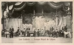 Stature Gallery: French Midget Entertainment Troupe - Les Colibris