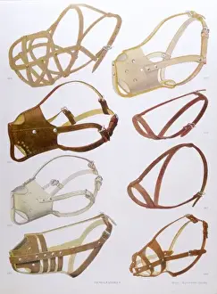 French Muzzles