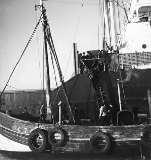 French navy WWII